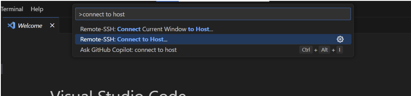 VS Code Remote-SSH Tool